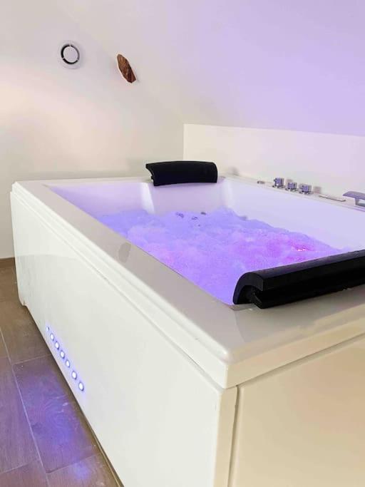 Le Cocon Du Leman Un Espace Cosy Ou Vous Retrouver Apartment *